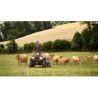 Yamaha Kodiak 700 EPS 2026 - akcja 3