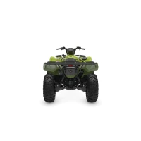 Yamaha Grizzly 700 EPS 2026 - studio 4