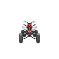 Yamaha YFM700R 70th Anniversary Edition 2026 - studio 8