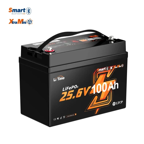 LiTime LiFePo4 24V 100Ah XtraMini