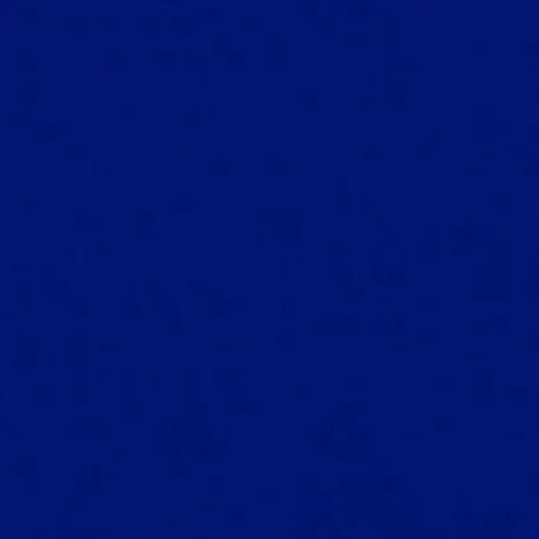Blue Chip
