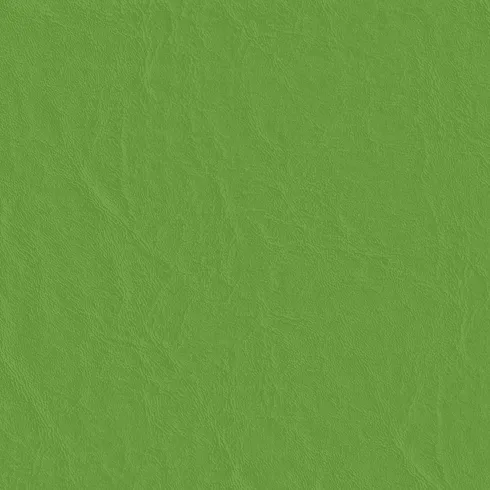 Parakeet
