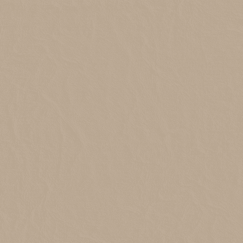 Beige (Sand Dollar)